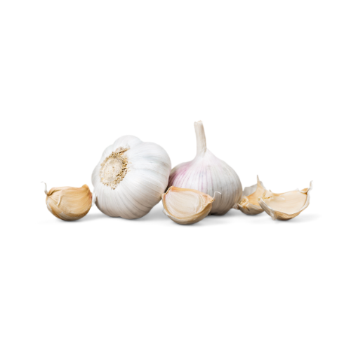 Garlic, Pack of 3