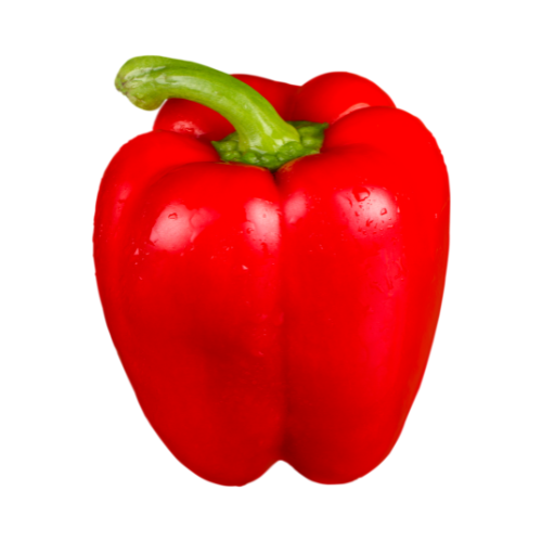 Red Bell Pepper, Pack of 3